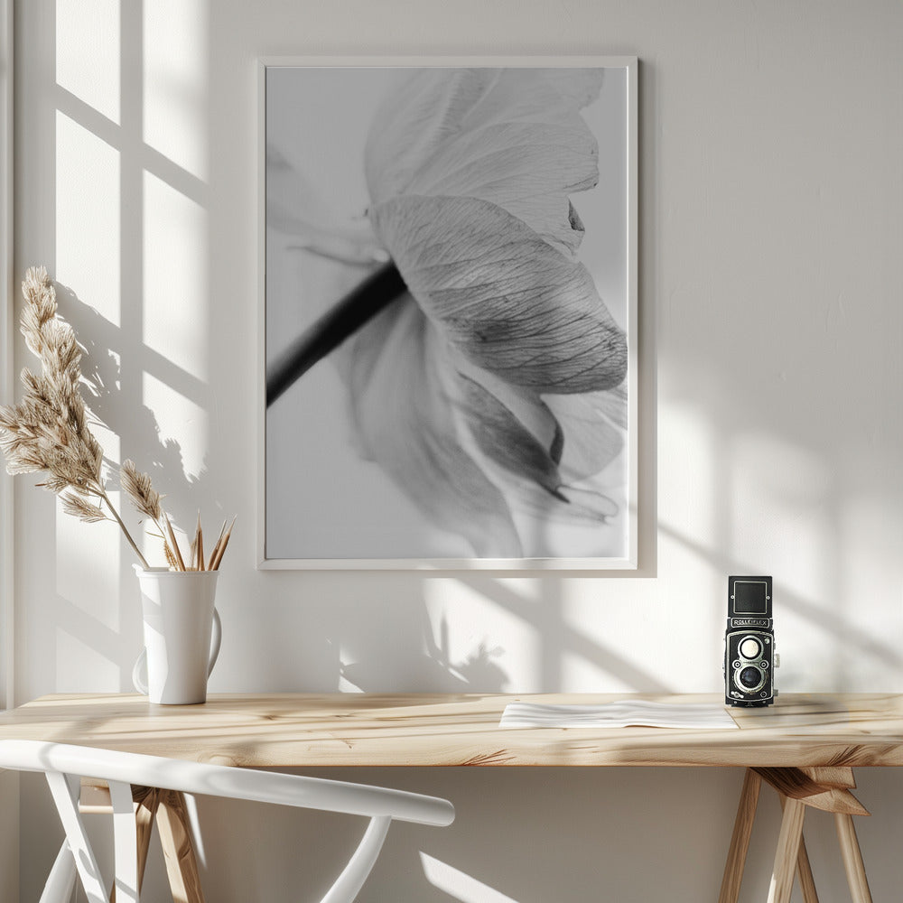  Blooming Flower Wall Artwork 0