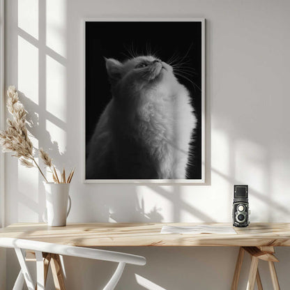 Wall art White in Black