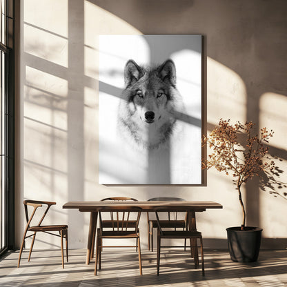  Portrait of a Timber Wolf Wall Artwork In White Floating Frame