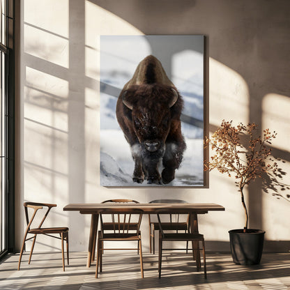 Bison Incoming Wall Artwork In Black Floating Frame