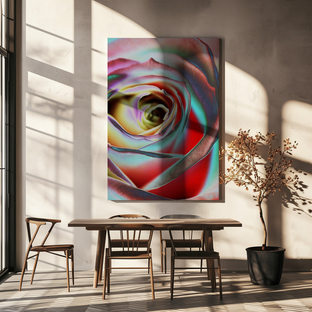  Rose Wall Artwork In White Floating Frame