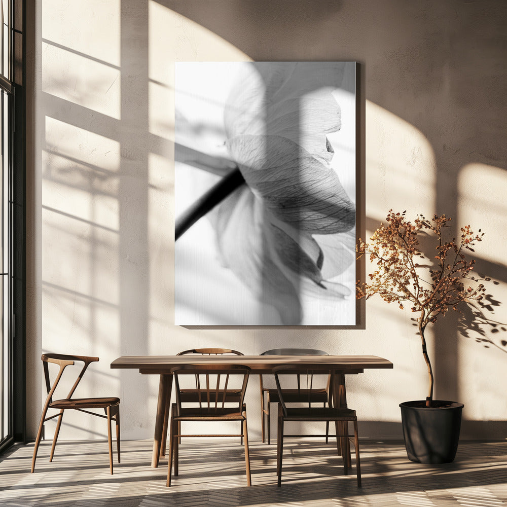  Blooming Flower Wall Artwork In White Floating Frame