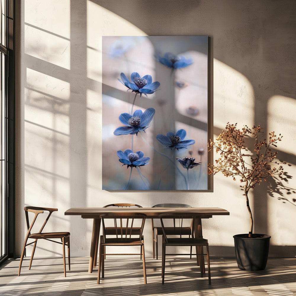  Cosmos blue Wall Artwork In White Floating Frame