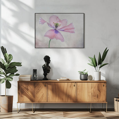  Pastel poppy Wall Artwork In White Floating Frame