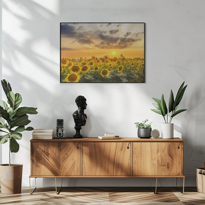  Sunflower field at sunset | Panoramic View Wall Artwork In White Floating Frame
