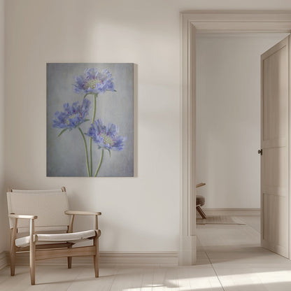  Scabiosa Wall Artwork 0