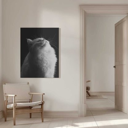 Wall art White in Black