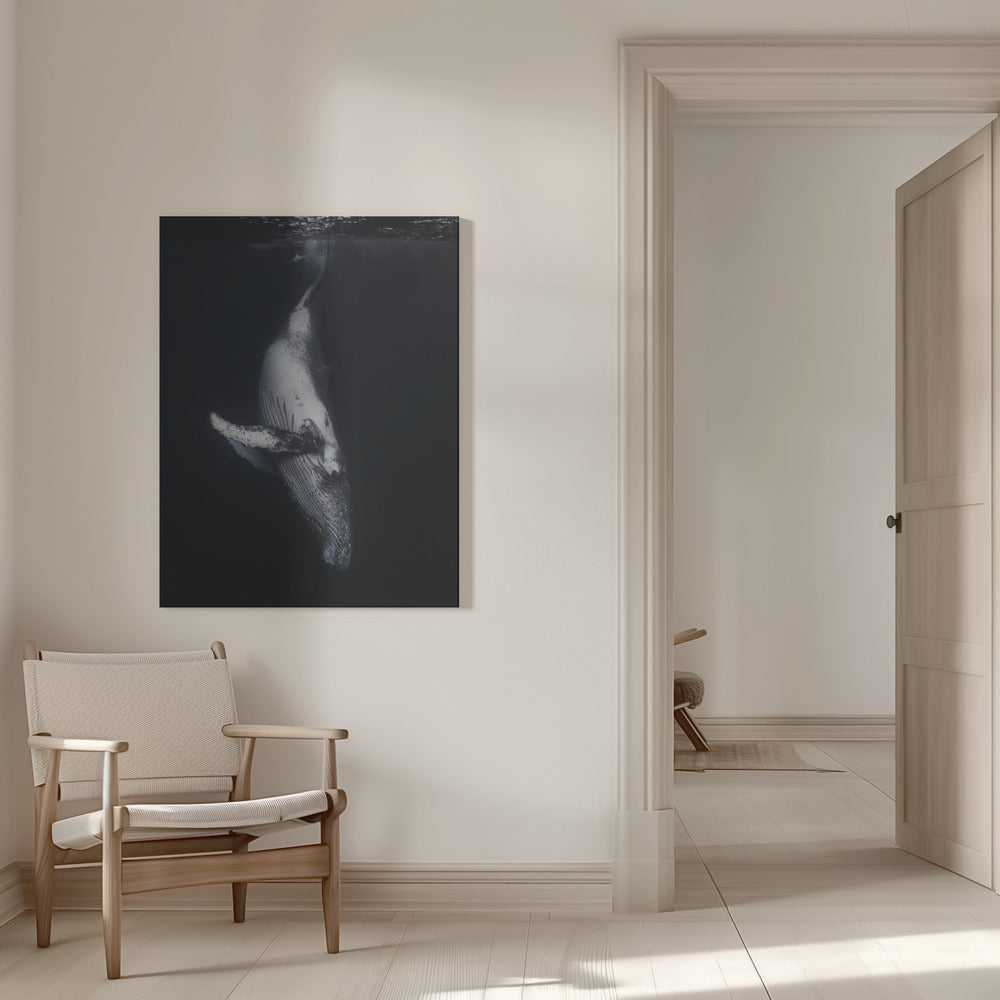  Black Whale Wall Artwork 0