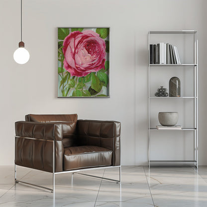  Pink Rose, Mrs John Laing Lithograph Wall Artwork 0