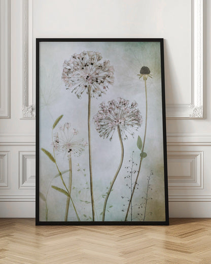  Allium Wall Artwork In Black Floating Frame