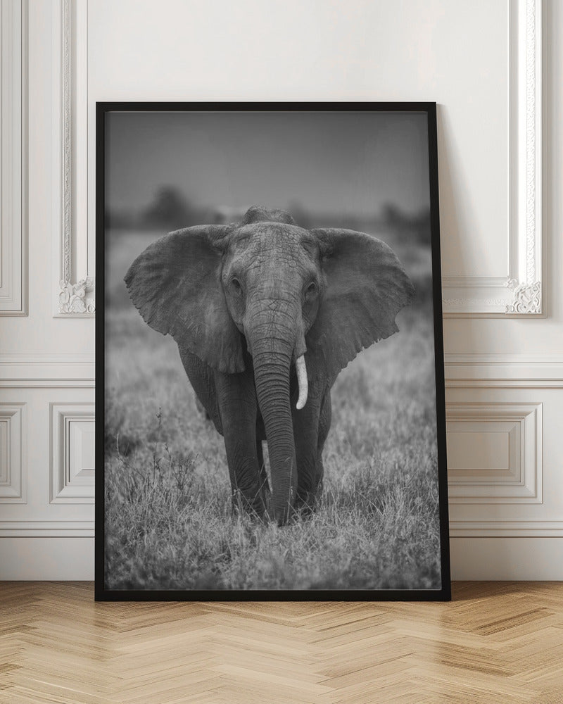  SINGULARITY Wall Artwork In Black Floating Frame