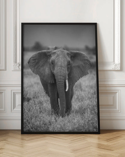  SINGULARITY Wall Artwork In Black Floating Frame