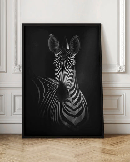  The Zebra Wall Artwork In Black Floating Frame
