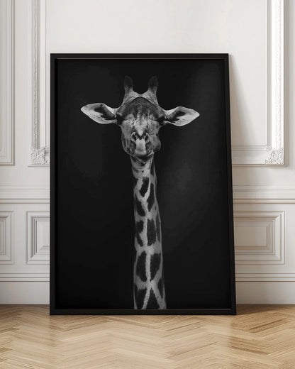  Giraffe Portrait Wall Artwork In Black Floating Frame