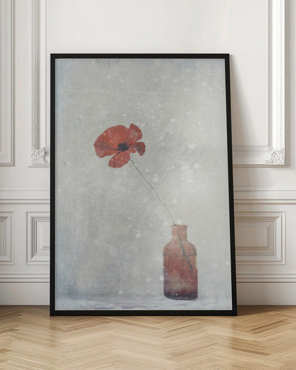  Winter Poppy Wall Artwork In Black Floating Frame