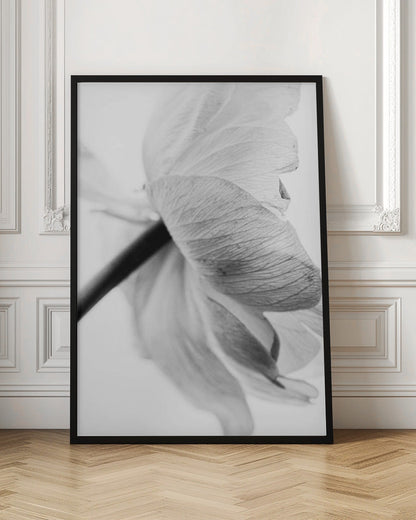  Blooming Flower Wall Artwork In White Floating Frame