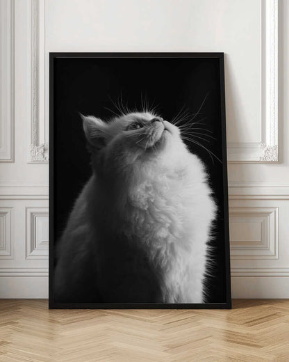 Wall art White in Black