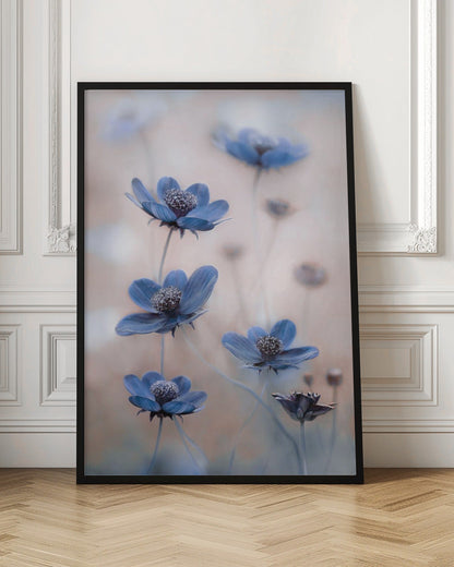  Cosmos blue Wall Artwork In Black Floating Frame