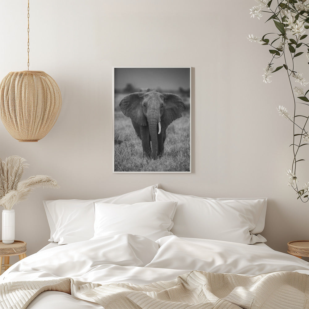 SINGULARITY Wall Artwork 0