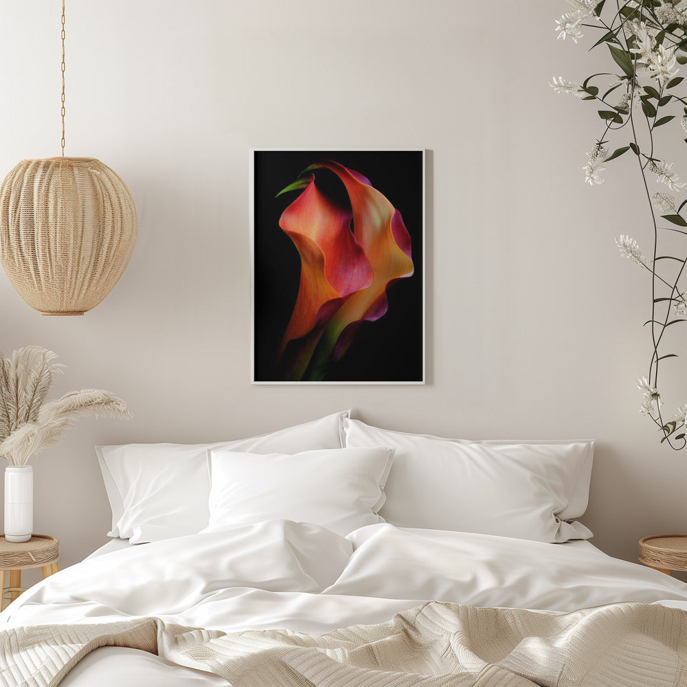  Tenderness Wall Artwork 0