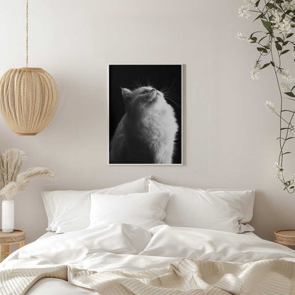 Wall art White in Black