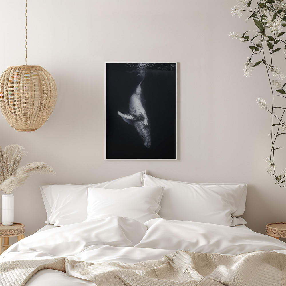  Black Whale Wall Artwork 0