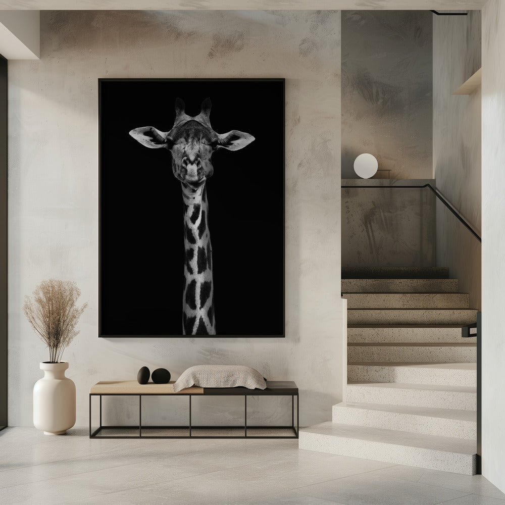  Giraffe Portrait Wall Artwork 0
