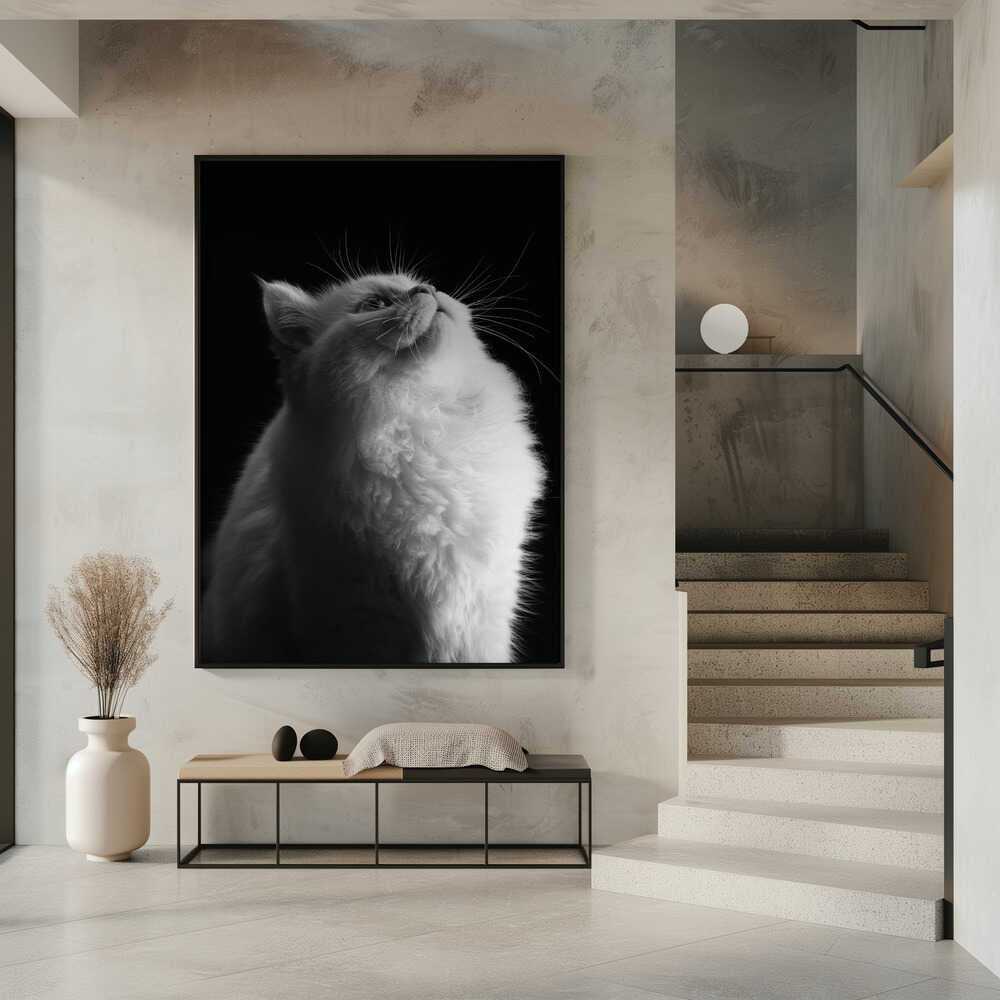 Wall art White in Black