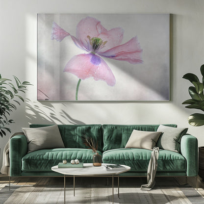  Pastel poppy Wall Artwork 0