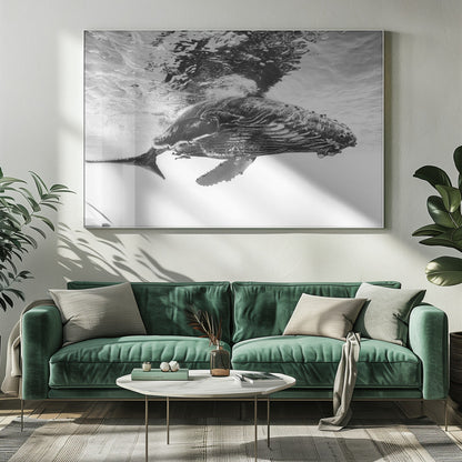  Humpback whale calf Wall Artwork 0