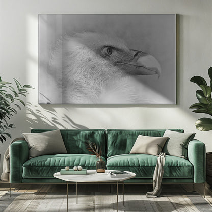 Artwork- Bald eagle-48X36inches-In Black Floating Frame