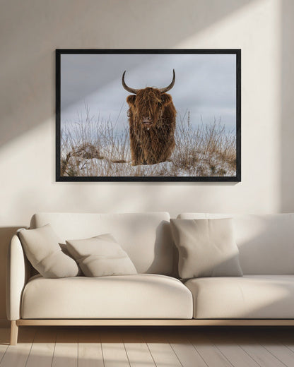  Highlander in Snow Wall Artwork 0