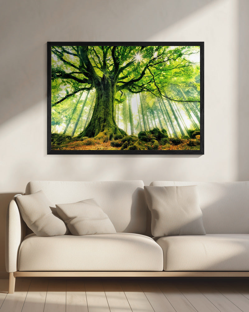 Ponthus' Beech Wall Artwork 0