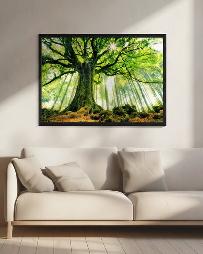  Ponthus' Beech Wall Artwork 0