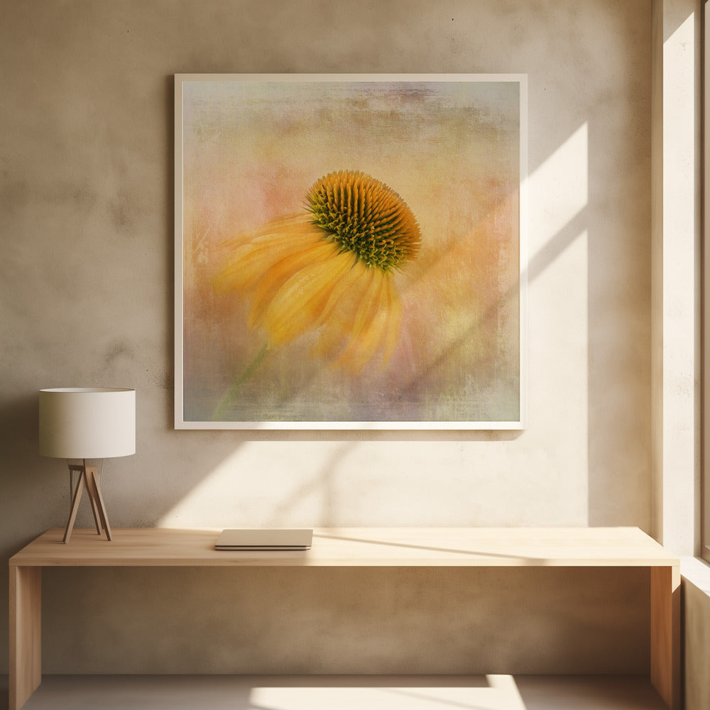  Echinacea in Yellow Wall Artwork 0