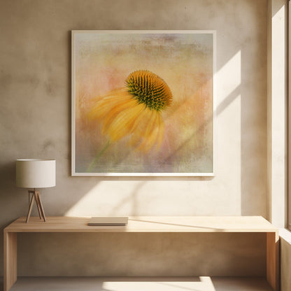  Echinacea in Yellow Wall Artwork 0