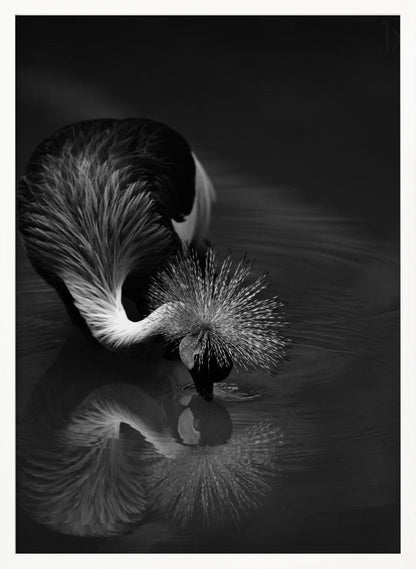 Artwork- The reflection-36X48inches-In Black Floating Frame