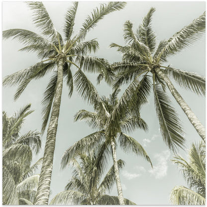  Lovely Vintage Palm Trees Wall Artwork In White Floating Frame