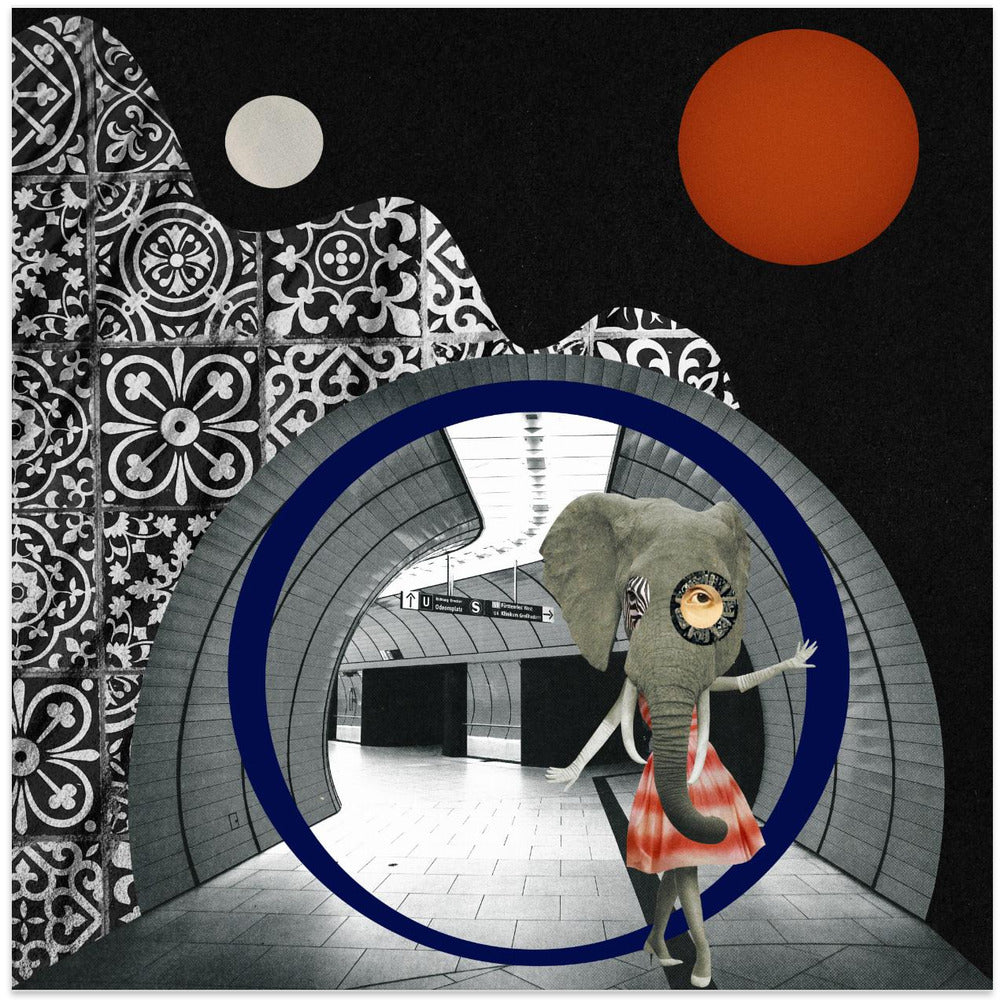  Elephant girl Wall Artwork In White Floating Frame