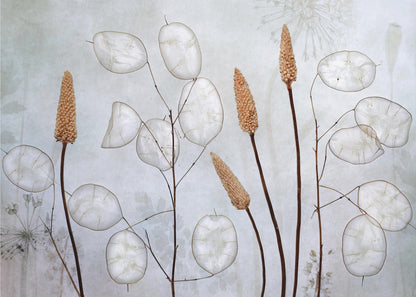  Lunaria Wall Artwork In Black Floating Frame