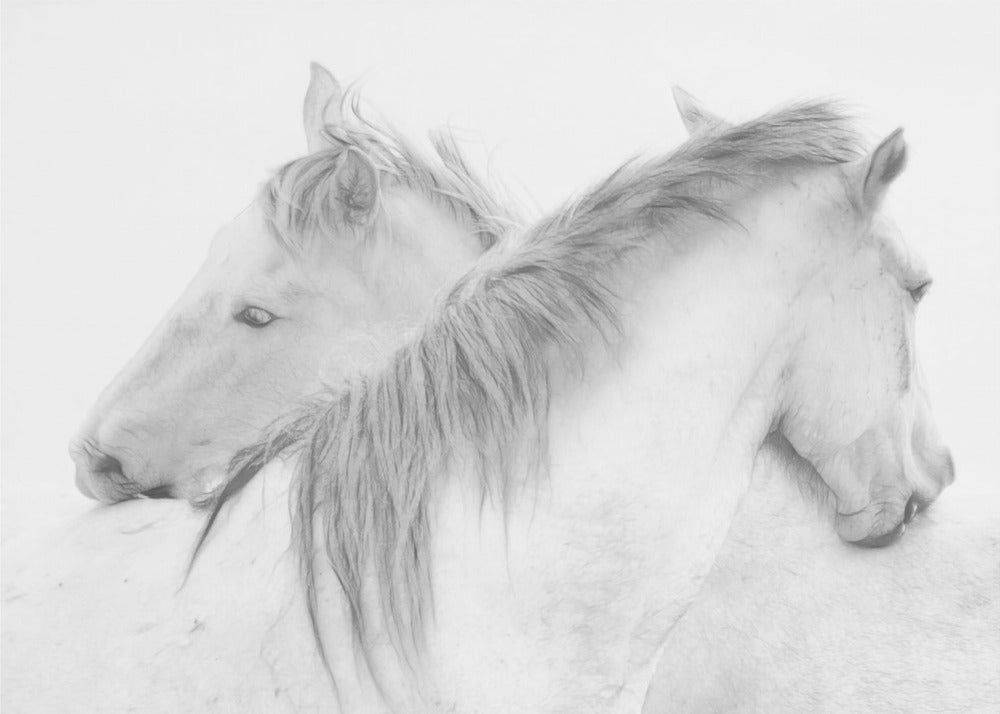  Horses Wall Artwork In Black Floating Frame