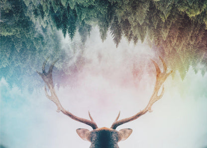  Antler Wall Artwork In Black Floating Frame