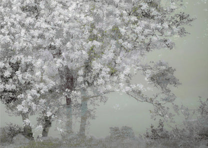  Spring Wall Artwork In Black Floating Frame