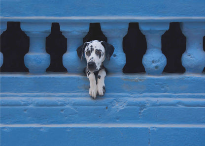 Artwork Centro Habana48X36inches- Unframed
