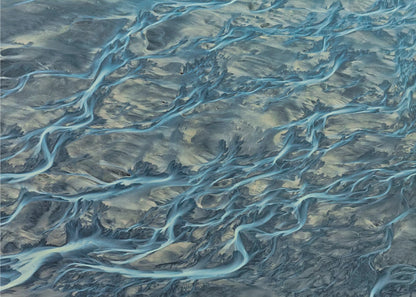  #3 Veins of the Earth Wall Artwork In Black Floating Frame