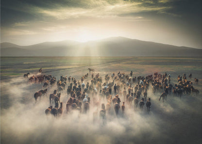  Wild Horses Wall Artwork In Black Floating Frame