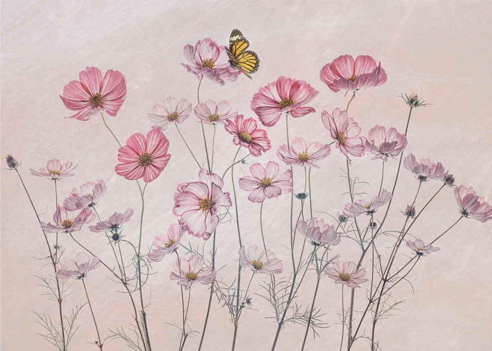  Cosmos and Butterfly Wall Artwork In Black Floating Frame