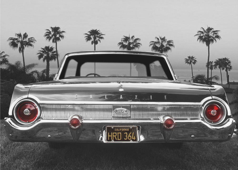  Ford Galaxie 500XL Wall Artwork 0
