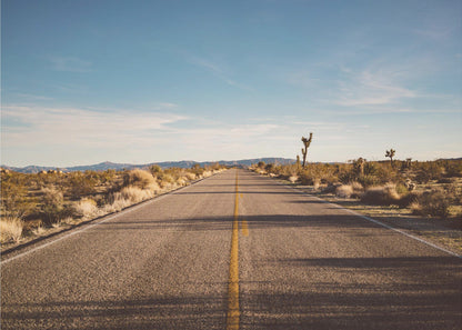  Joshua Tree Road Wall Artwork Gallery Wrapped (Ready to Hang)