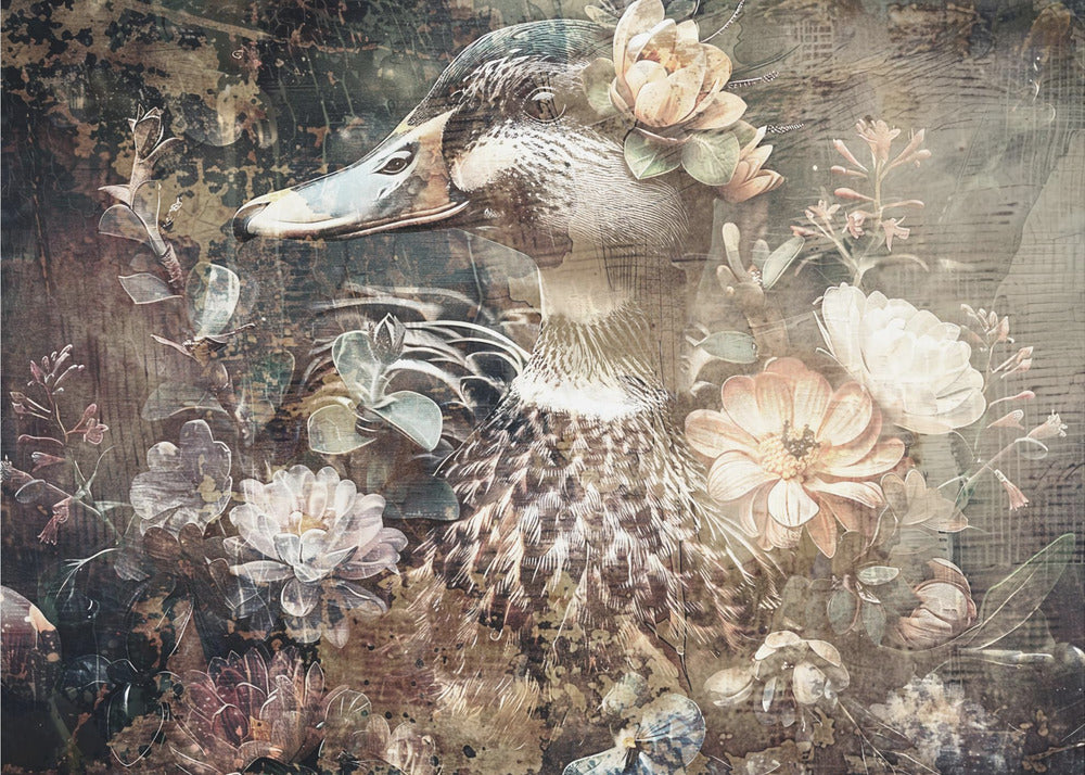  Duck Animal Vintage Art Illustration Wallart 06 Wall Artwork In Black Floating Frame